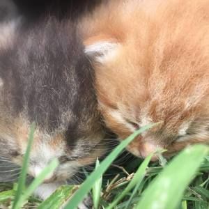 Meet your Posher, Taylor